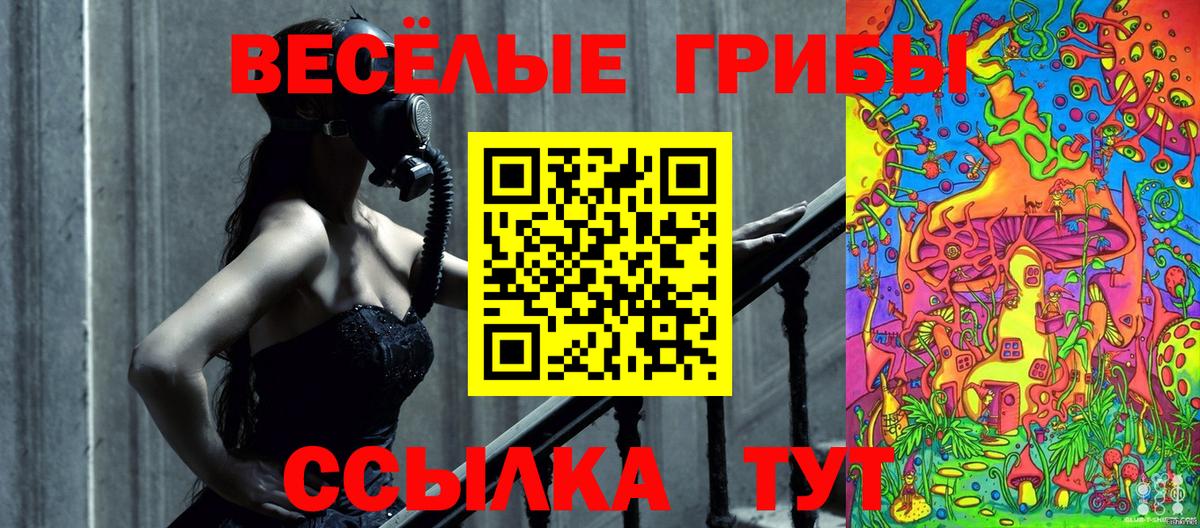 Псилоцибиновые грибы Cubensis Сафоново