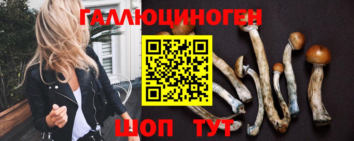 Псилоцибиновые грибы Psilocybe  Вход с VPN  Сафоново 